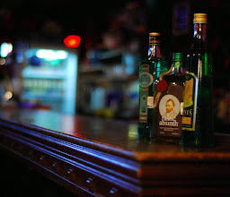 Red Clovers Chihuahua photo