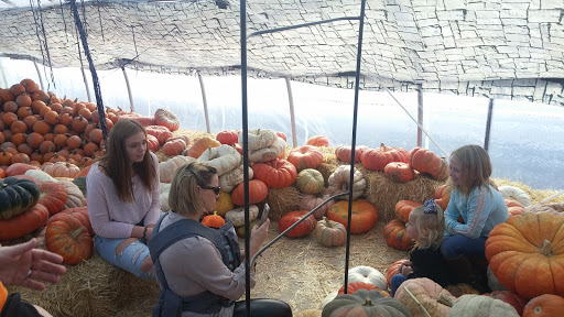 Produce Market «Kuwahara Farms», reviews and photos, 736 12300 S, Draper, UT 84020, USA