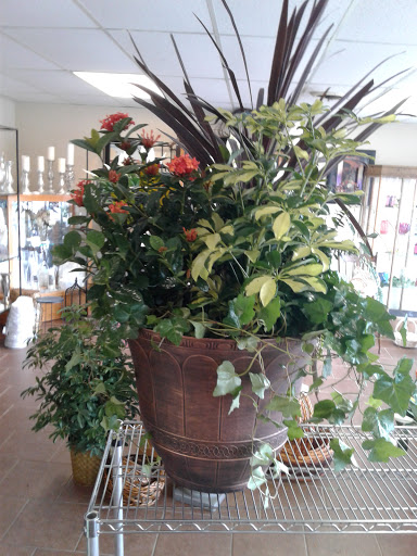Florist «Oak Hills Florist», reviews and photos, 1729 Babcock Rd, San Antonio, TX 78229, USA