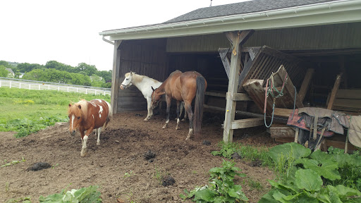 Golf Course «Willow Hollow Golf Course», reviews and photos, 619 Prison Rd, Leesport, PA 19533, USA