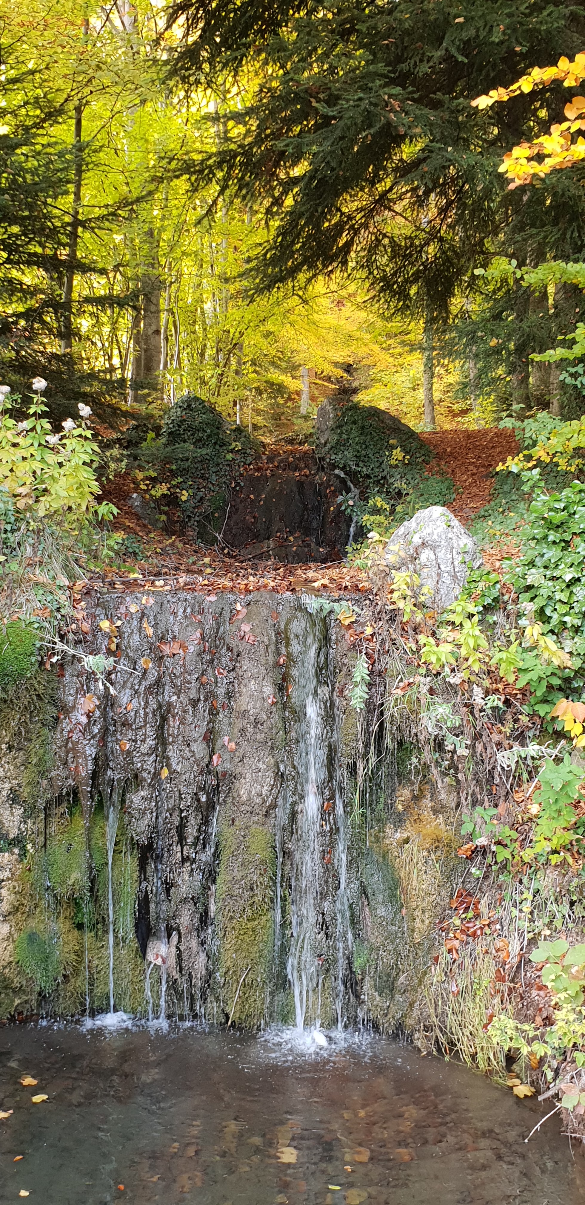Photo n° 3 de l'avis de Josette.r fait le 06/11/2018 à 09:56