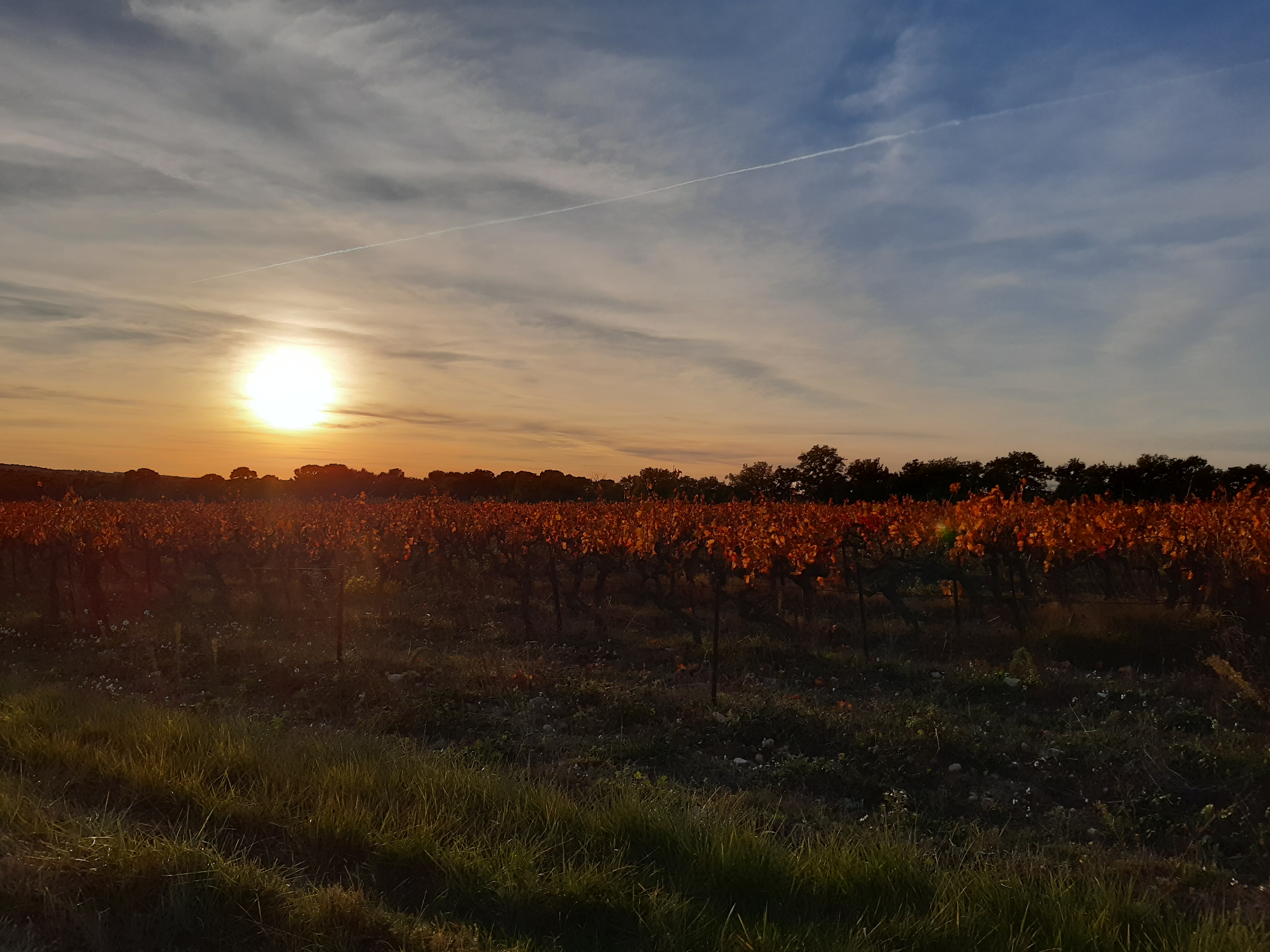 Photo n° 1 de l'avis de Hélène. fait le 29/10/2020 à 16:56