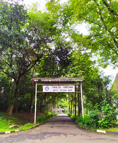 Arboretum Fakultas Kehutanan IPB