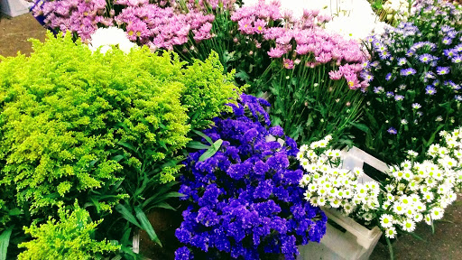 Florist «Axelrod Flowers», reviews and photos, 4429 Whitaker Ave, Philadelphia, PA 19120, USA