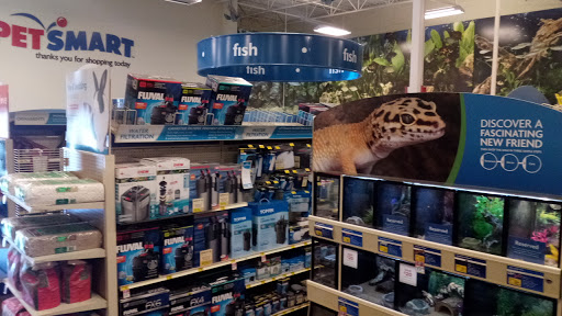 Pet Supply Store «PetSmart», reviews and photos, 1561 N Dysart Rd, Avondale, AZ 85323, USA