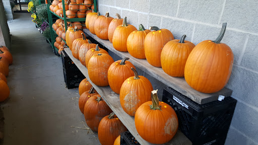 Grocery Store «Don Hatting Supermarket», reviews and photos, 6148 Bridgetown Rd, Cincinnati, OH 45248, USA