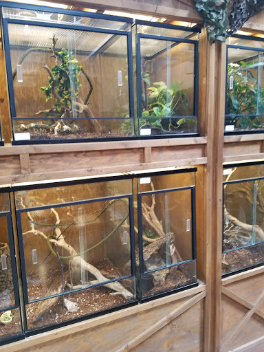 Pet Store «Lost Realms Pets», reviews and photos, 8059 N Cedar Ave, Fresno, CA 93720, USA