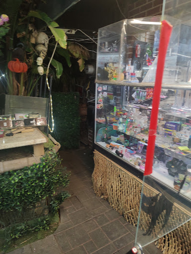 Explore thigh tattoo ideas for females, creative tattoo ideas in Fresno, available at Most Wanted Tattoo