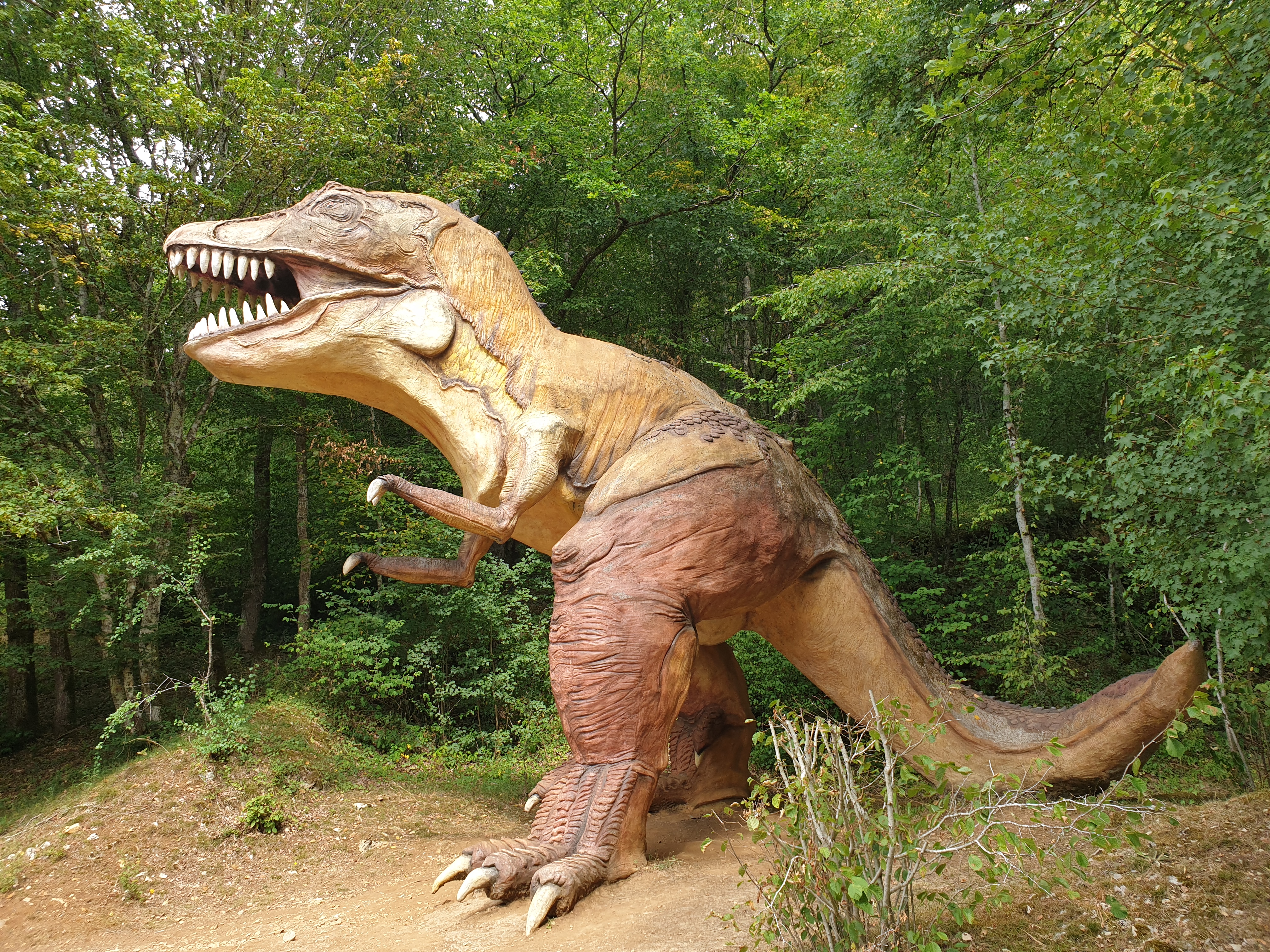 Photo n° 3 de l'avis de Christophe.E fait le 13/08/2019 à 11:30