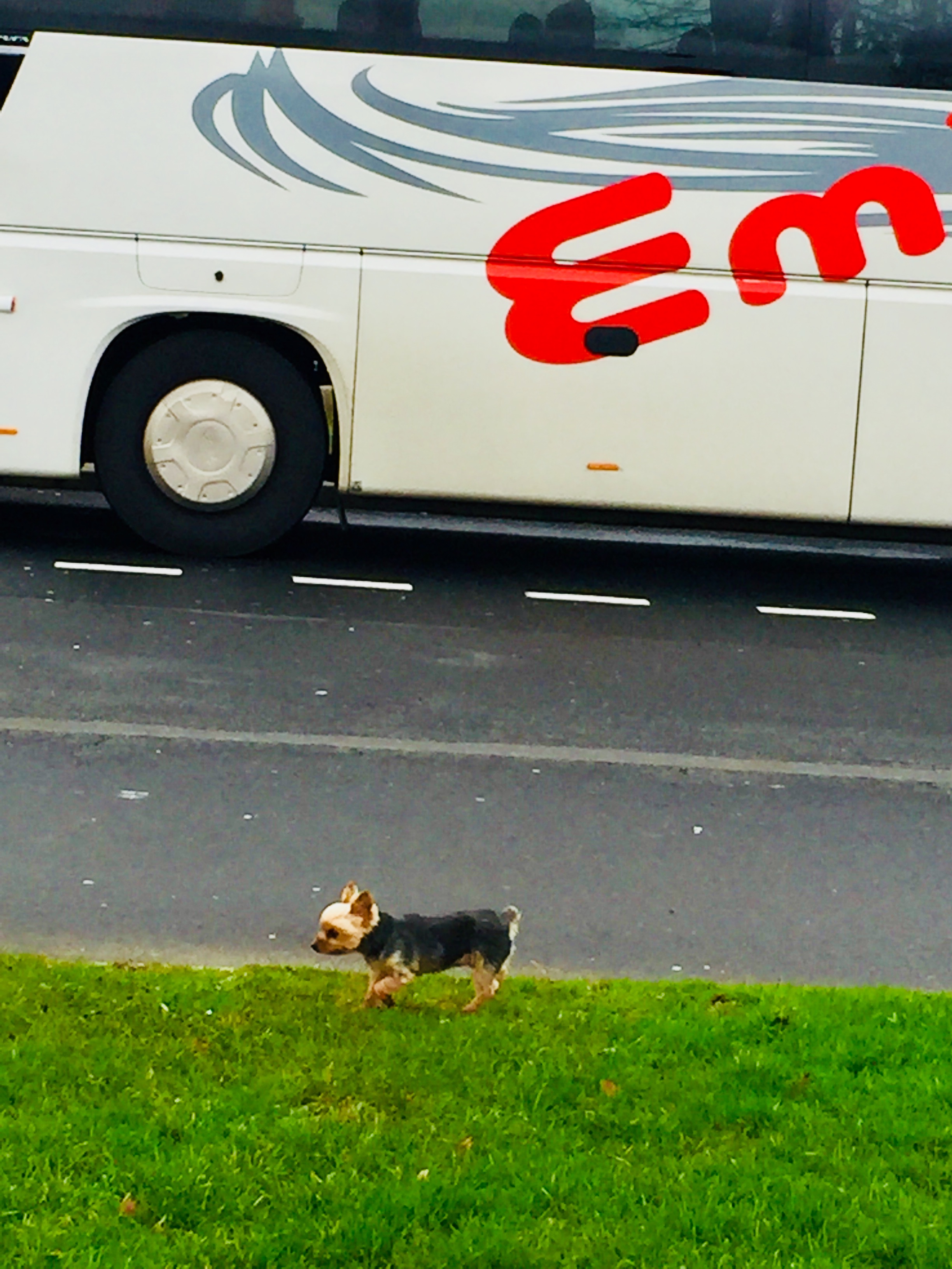 Photo n° 2 de l'avis de M..e fait le 26/05/2018 à 01:51