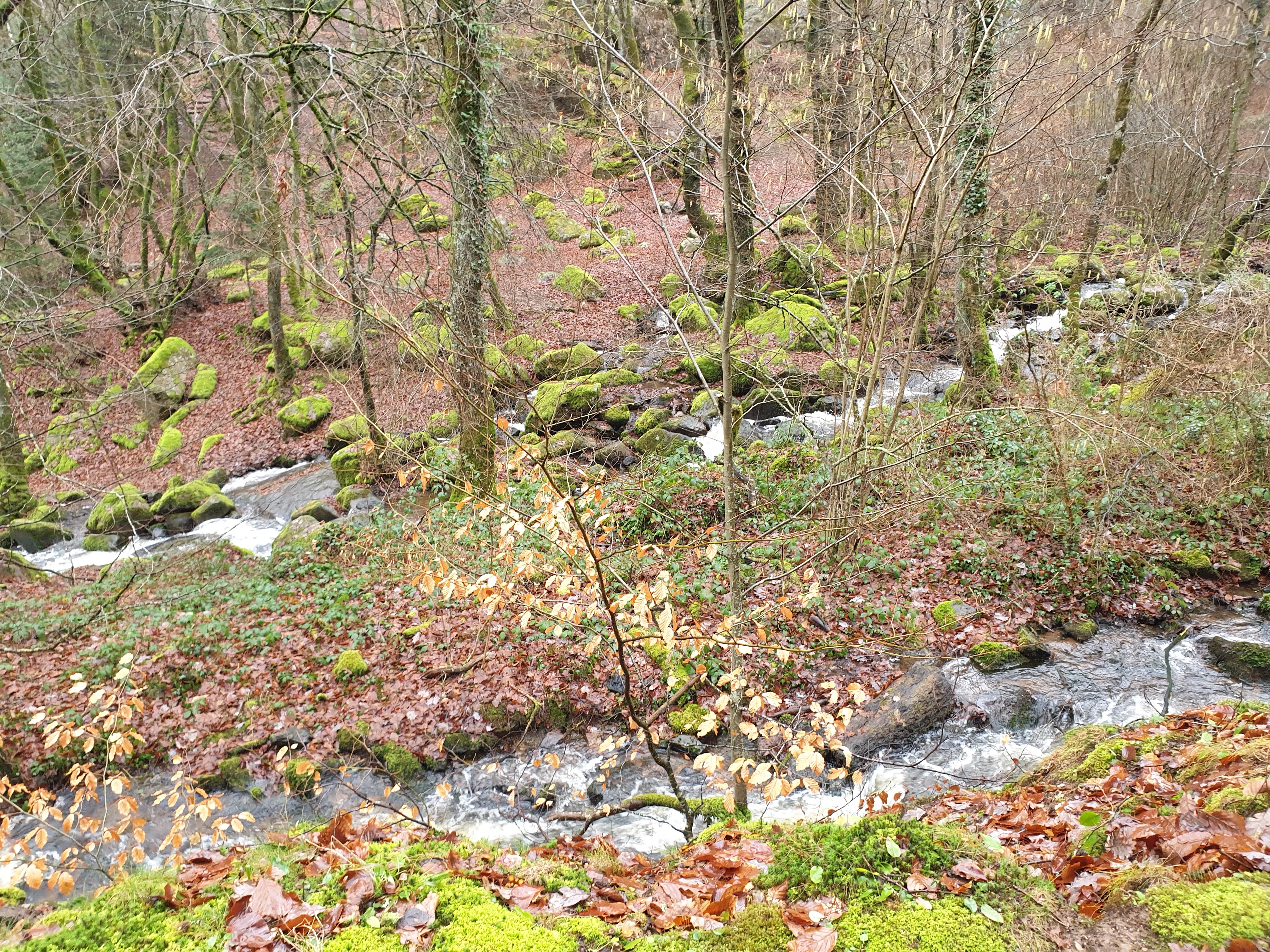 Photo n° 5 de l'avis de Bouet.a fait le 18/12/2019 à 18:36