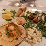 Photo n°4 de l'avis de Angelica.u fait le 06/07/2021 à 08:49 sur le  Trattoria Ai Due Mondi à Treviso