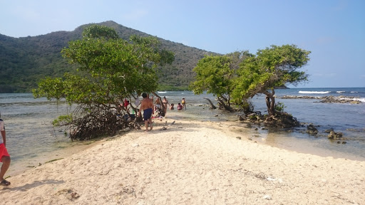 La Bocaina de la laguna de patanemo