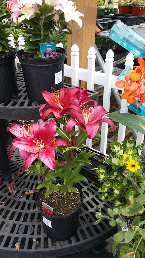 Produce Market «Didier Farms», reviews and photos, 16678 Aptakisic Rd, Lincolnshire, IL 60069, USA