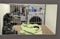 Heartland Pets - Photo 8 - Car repair in Erie, PA, Erie