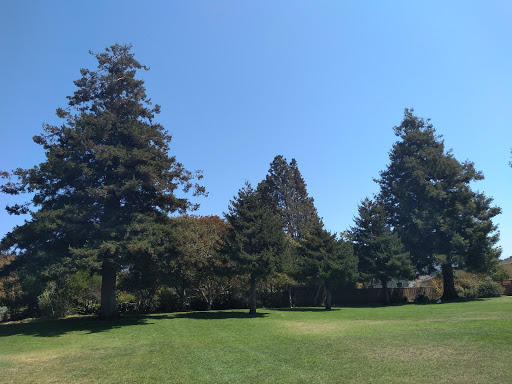 Park «Cedar Rose Park», reviews and photos, 1300 Rose St, Berkeley, CA 94702, USA