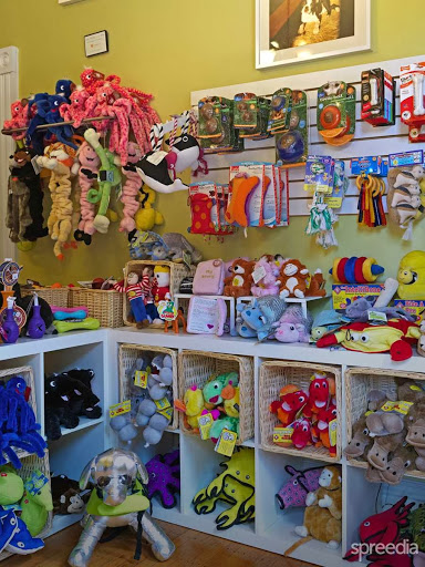 Pet Store «Pawsh Dog Boutique», reviews and photos, 31 Gloucester St, Boston, MA 02115, USA