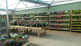 Whitehall Garden Centre