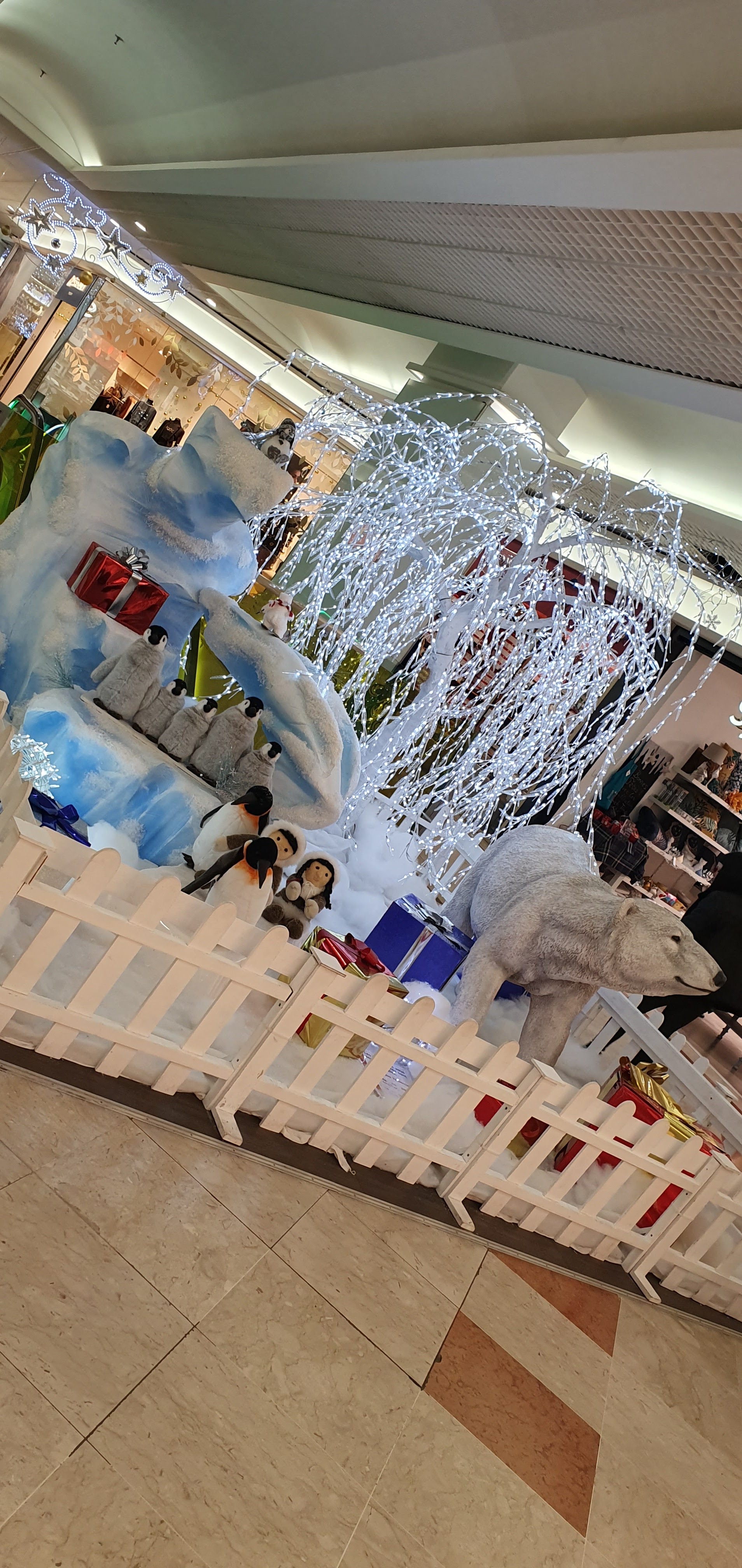 Photo n° 2 de l'avis de Jean.u fait le 15/12/2019 à 17:15