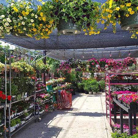 Hardware Store «Cherry Creek Ace Hardware», reviews and photos, 1417 S Holly St, Denver, CO 80222, USA