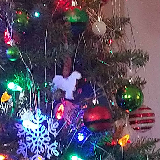 Thrift Store «Second Blessing Thrift Store Inc.», reviews and photos, 2323 Central Ave, Wichita, KS 67214, USA