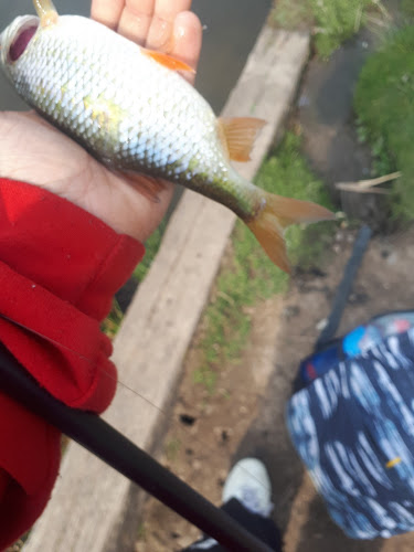 Reviews of Monton Bait & Tackle in Manchester - Shop
