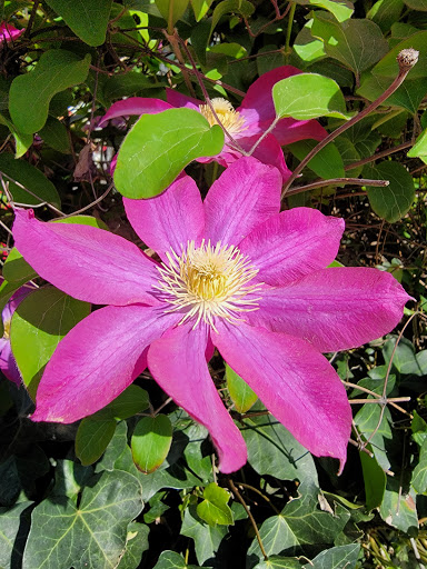 Park «Crispus Attucks Park», reviews and photos, 23 U St NW, Washington, DC 20001, USA