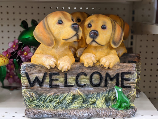 Discount Store «Big Lots», reviews and photos, 5453 Thornton Ave, Newark, CA 94560, USA