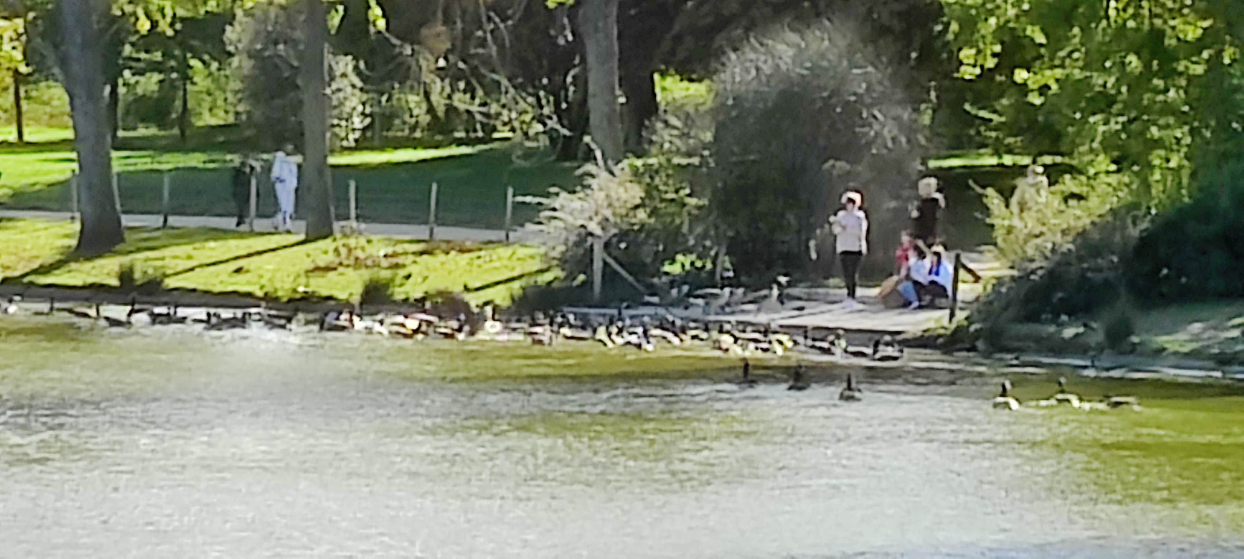 Photo n° 10 de l'avis de Jean.o fait le 15/10/2021 à 08:16