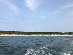 Lambert's Cove Beach'in fotoğrafı doğal alan içinde bulunmaktadır