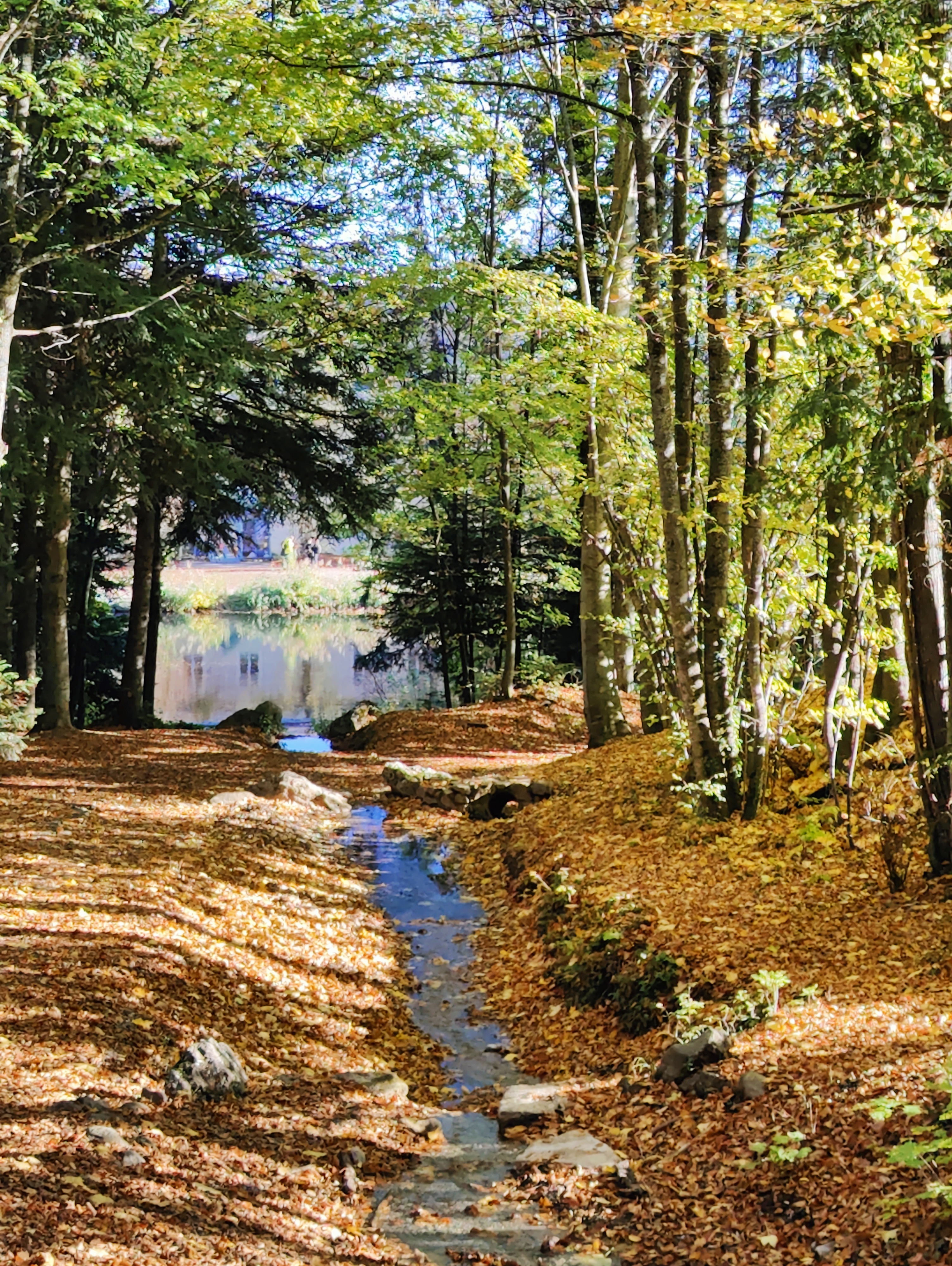 Photo n° 3 de l'avis de Nicolas.a fait le 05/11/2022 à 15:54