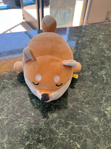 Dry Cleaner «NEXTGEN Cleaners», reviews and photos, 1574 Branham Ln, San Jose, CA 95118, USA