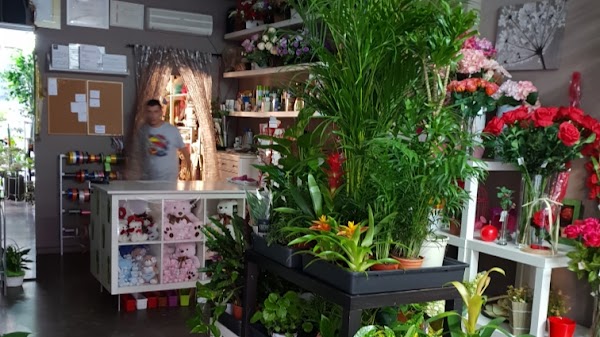 Floristería Nieves