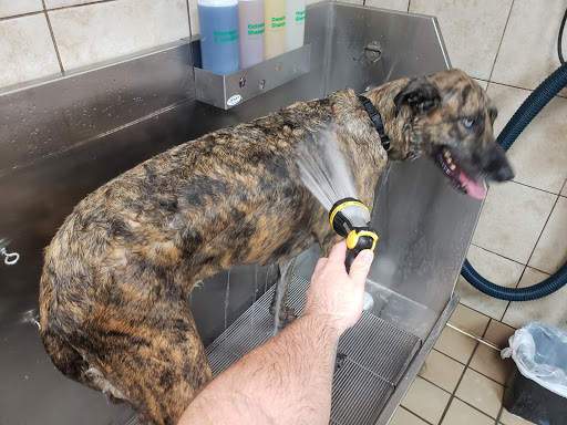 Pet Supply Store «Pet Supplies Plus», reviews and photos, 4100 Legacy Dr Suite 402, Plano, TX 75024, USA