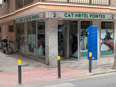 HOTEL DE GATOS PONTES Cat hotel Pontes Av. Europa, 18690 Almuñécar, Granada, España