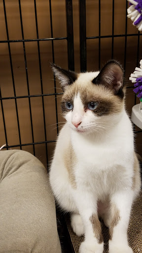 Pet Store «Pet Valu», reviews and photos, 2914 Chain Bridge Rd, Oakton, VA 22124, USA