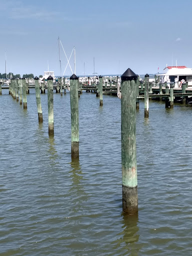 Tourist Attraction «Choptank River Lighthouse», reviews and photos, 100 High St, Cambridge, MD 21613, USA