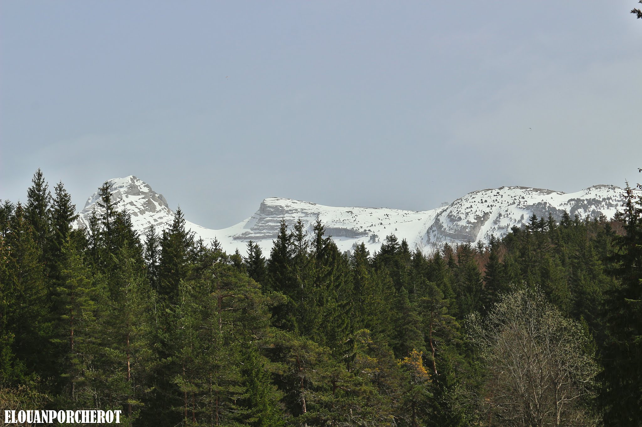 Photo n° 1 de l'avis de Gikoutitou. fait le 25/04/2019 à 09:48