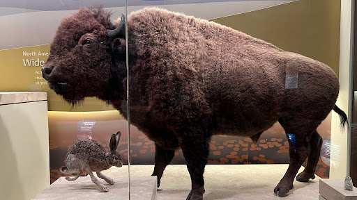 Rail Museum «Baltimore & Ohio Railroad Museum», reviews and photos, 901 W Pratt St, Baltimore, MD 21223, USA