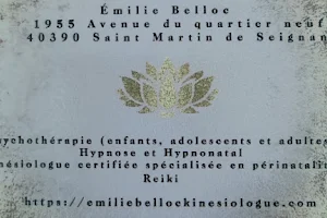 Émilie Belloc Kinésiologue Certifiée en périnatalité Psychothérapie/Hypnose Reiki image