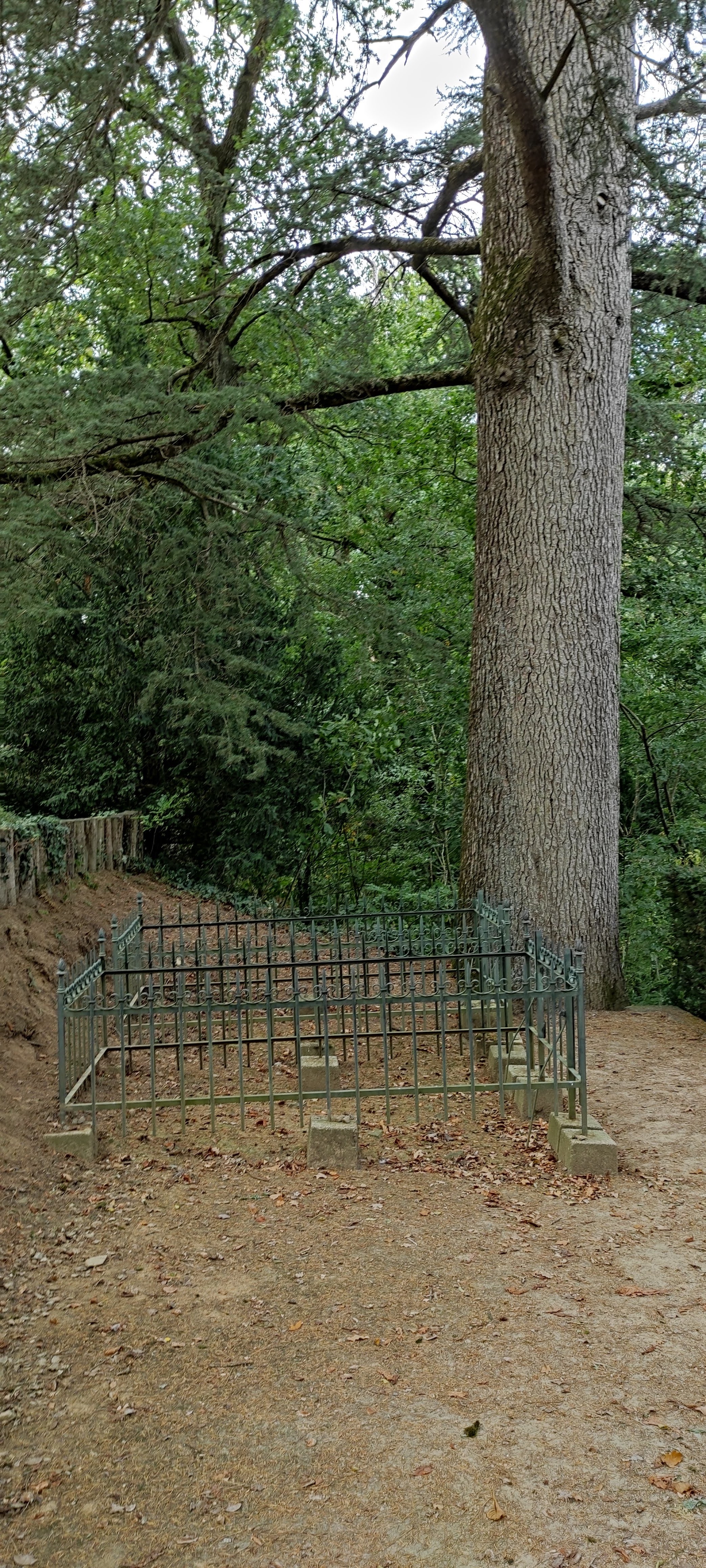 Photo n° 9 de l'avis de emmanuel.6 fait le 31/08/2021 à 17:45