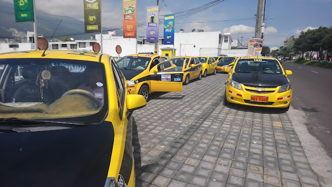 cooperativa de taxis santa maria