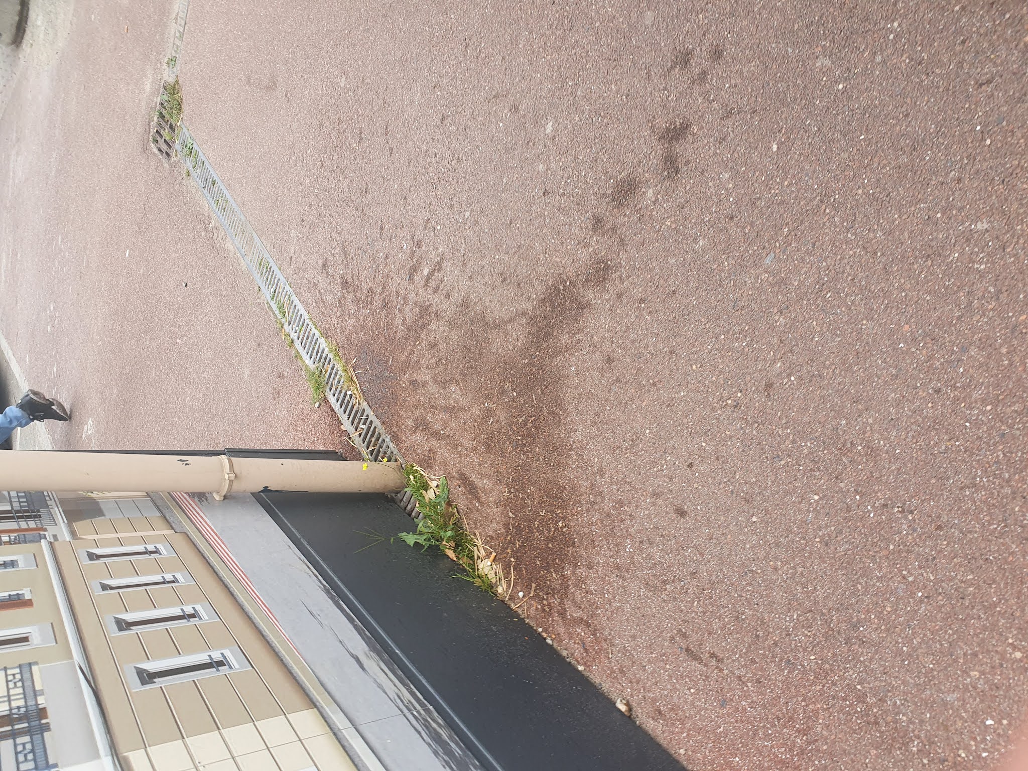 Photo n° 1 de l'avis de TiteufTiteuf. fait le 18/08/2021 à 18:10