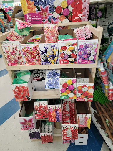 Discount Store «99 Cents Only Stores», reviews and photos, 301 Arneill Rd, Camarillo, CA 93010, USA