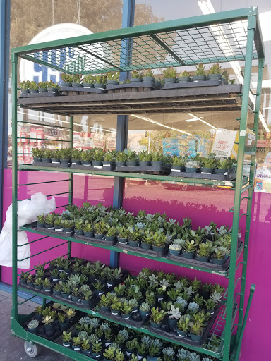 Discount Store «99 Cents Only Stores», reviews and photos, 41989 Fremont Blvd, Fremont, CA 94538, USA