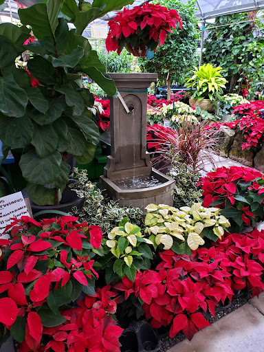 Wholesale Plant Nursery «Galloway Farm Nursery Inc.», reviews and photos, 7790 SW 87th Ave, Miami, FL 33173, USA