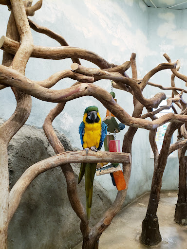 Pet Supply Store «PetKraze», reviews and photos, 100 Independent Way, Brewster, NY 10509, USA