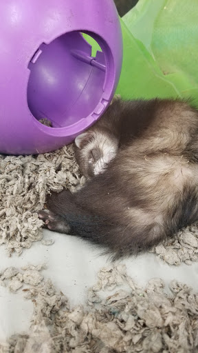 Pet Supply Store «Petco Animal Supplies», reviews and photos, 816 Washington St, Middletown, CT 06457, USA