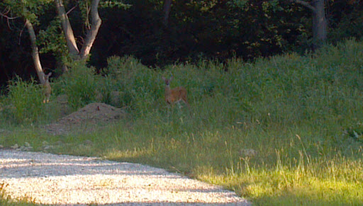 Private Golf Course «Brookside Golf & Country Club», reviews and photos, 2770 West Dublin Granville Road, Columbus, OH 43235, USA