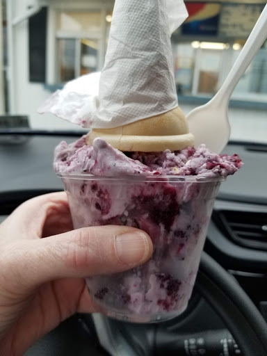 Ice Cream Shop «Blueberry Hill Dairy Bar», reviews and photos, 355 High St, Ellsworth, ME 04605, USA